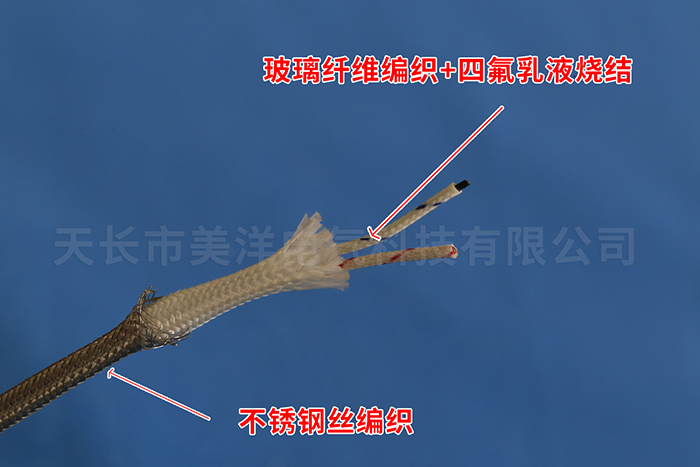 EX-HF4TP1高溫補(bǔ)償導(dǎo)線鍍錫屏蔽-結(jié)構(gòu)圖.jpg